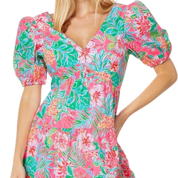 Lilly Pulitzer Dresses & Skirts - Lilly Dress